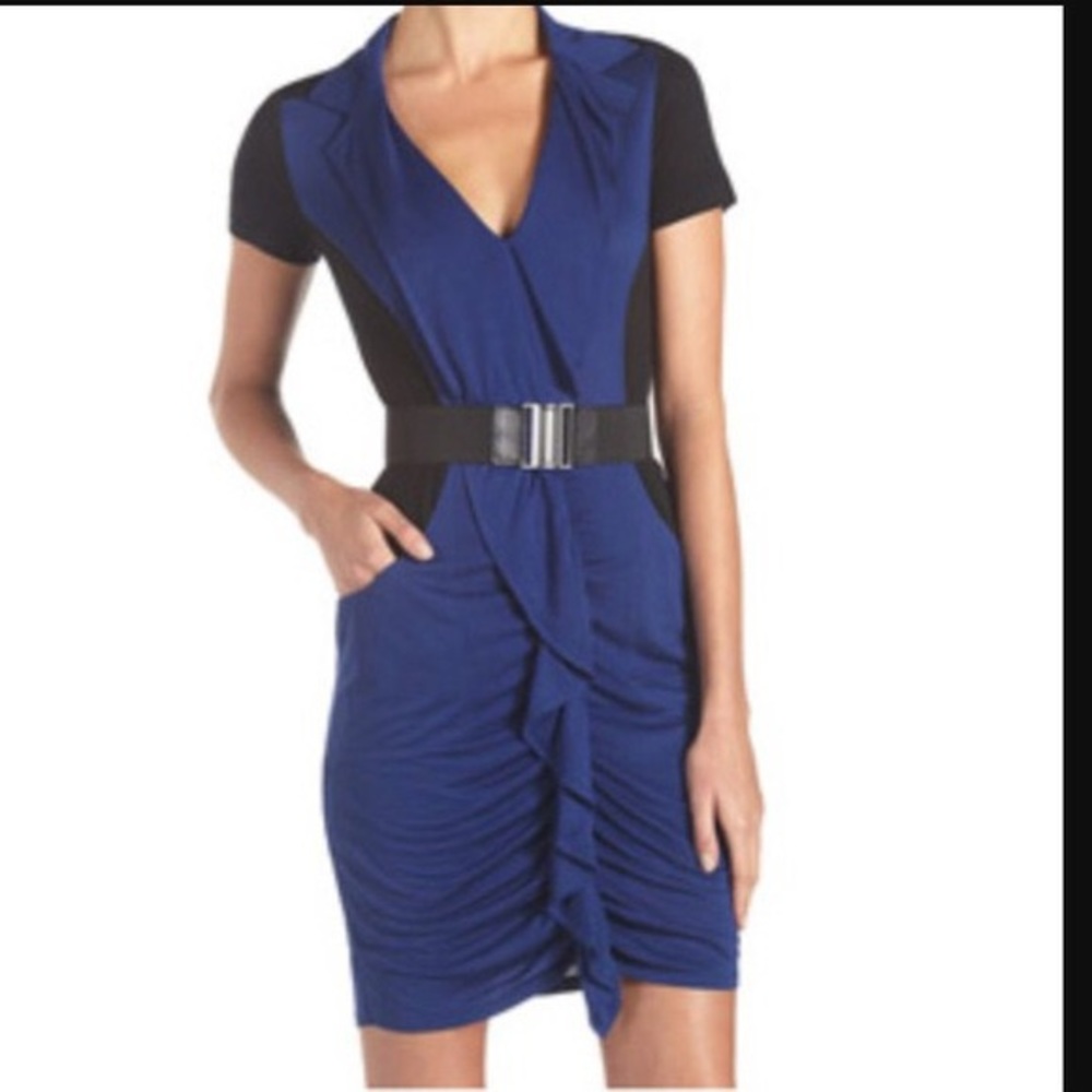 BCBG Maxazaria Winifred Dress- new with tags